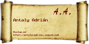 Antaly Adrián névjegykártya